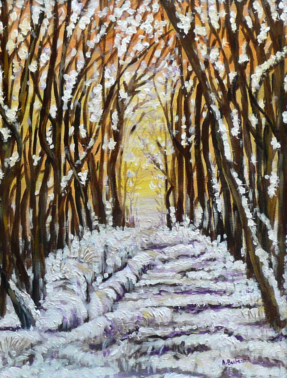 La neve, il bosco, la pace
